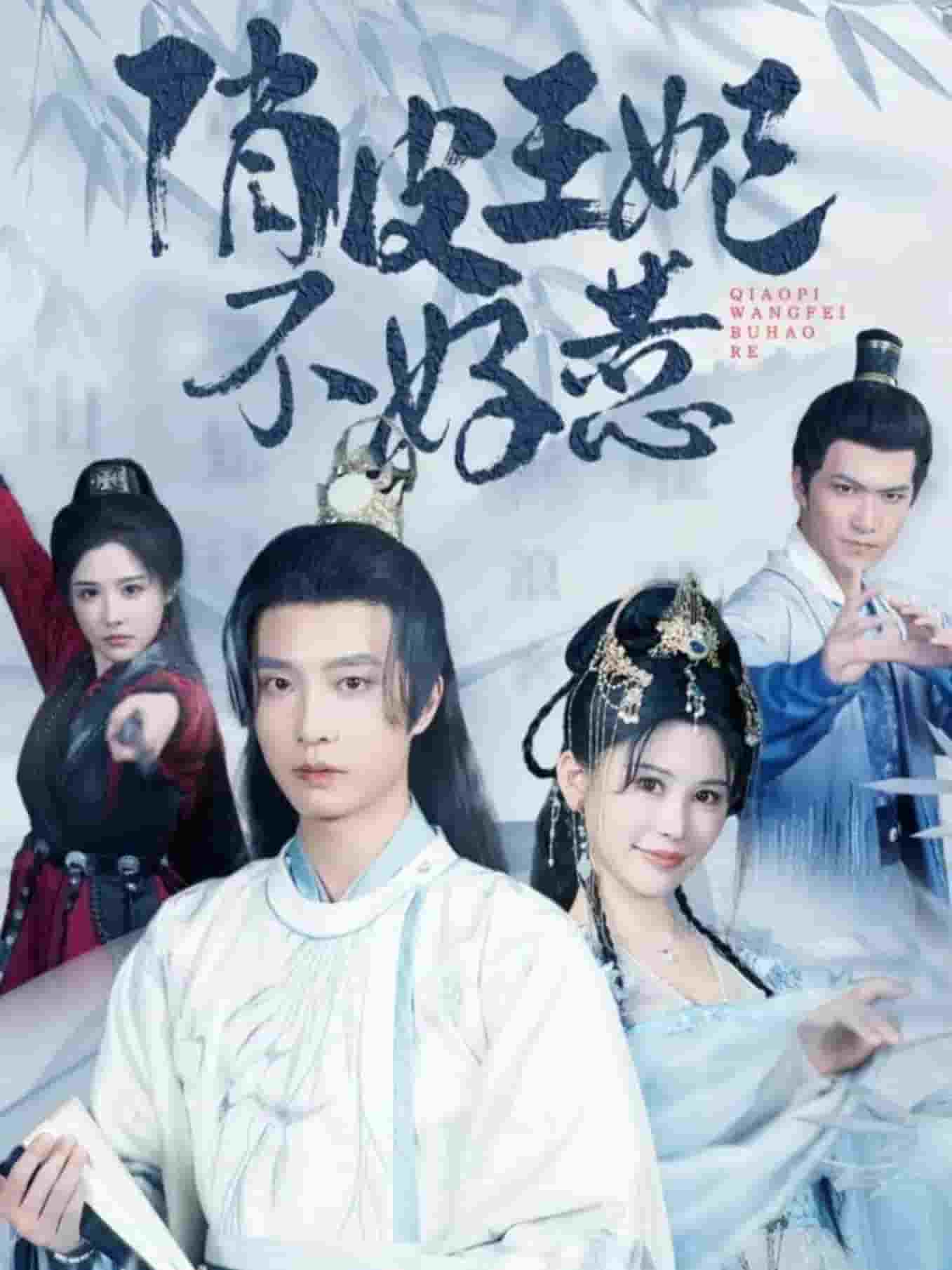 俏皮王妃不好惹(2024)海报