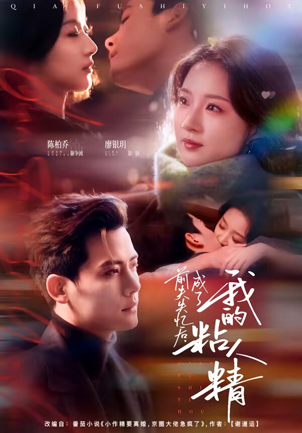 前夫失忆后,成了我的粘人精(2026)海报