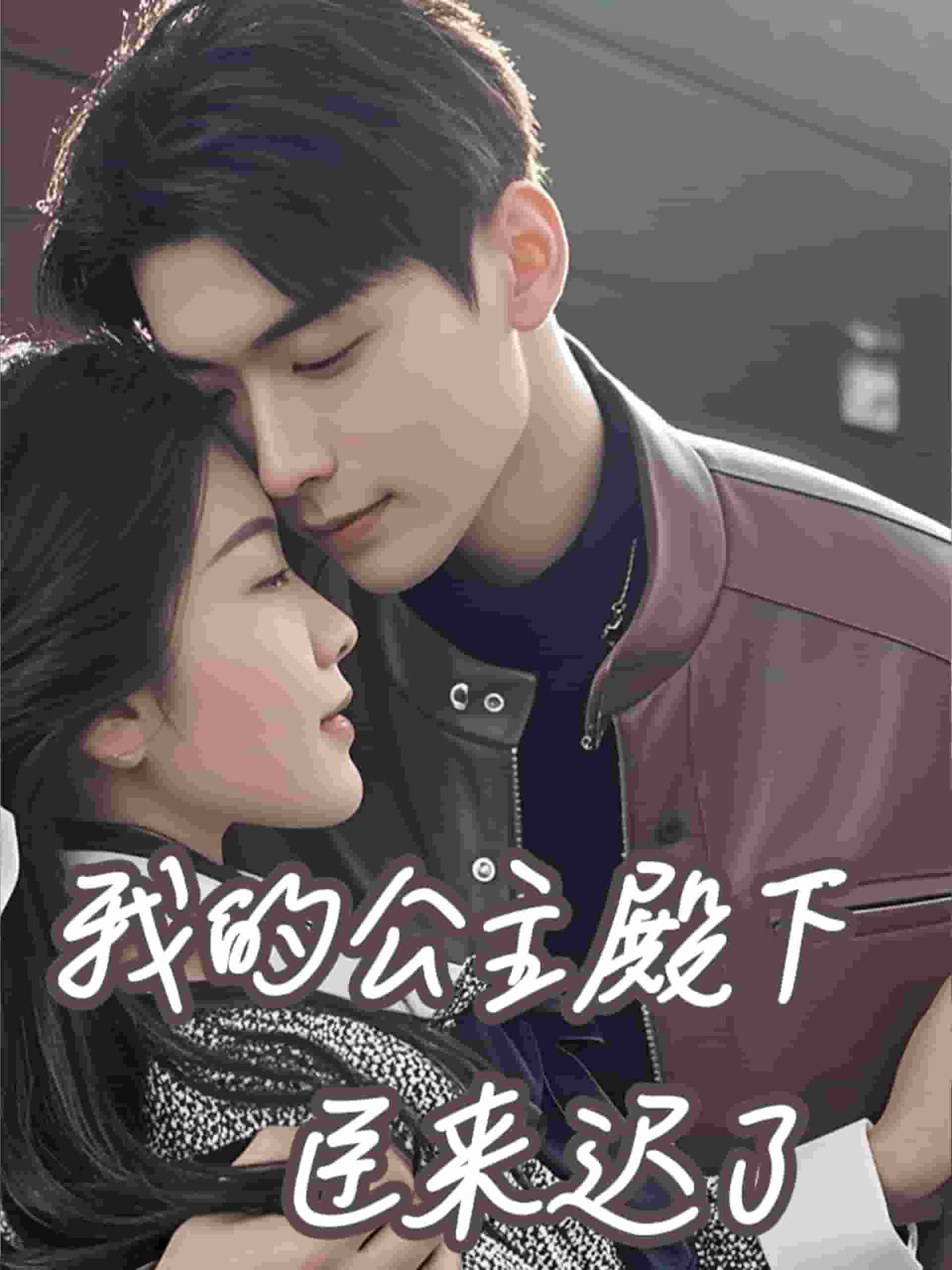 我的公主殿下臣来迟了(2025)海报