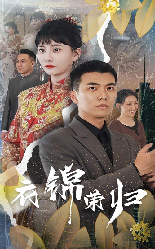 衣锦荣归(2024)海报