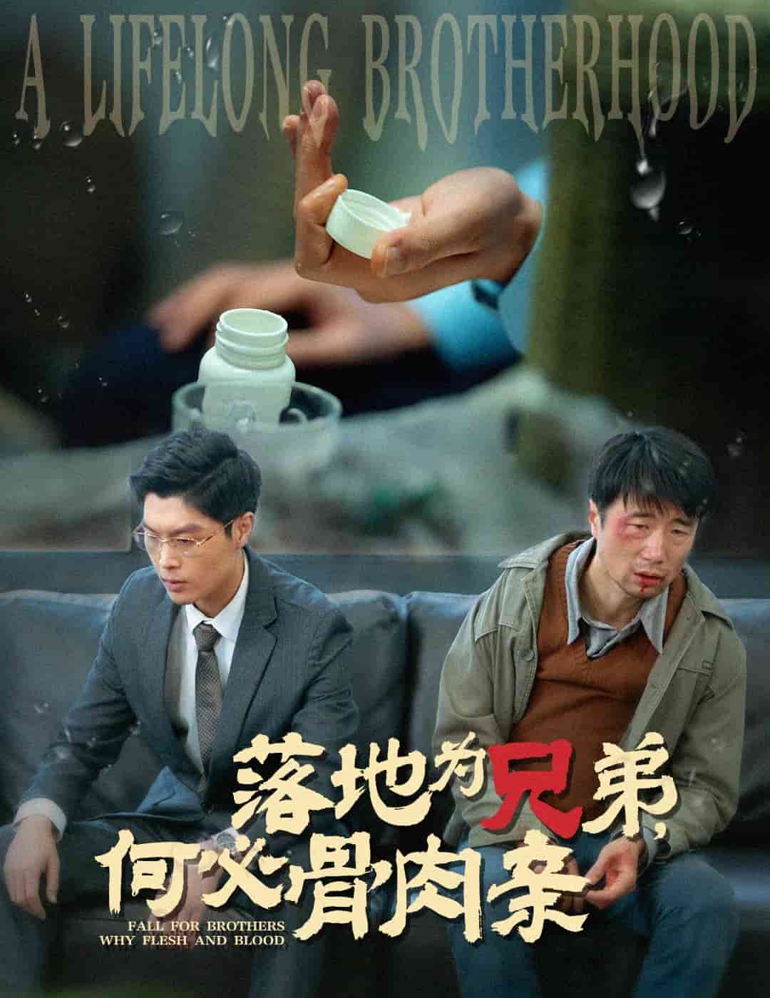 落地为兄弟,何必骨肉亲(2025)海报