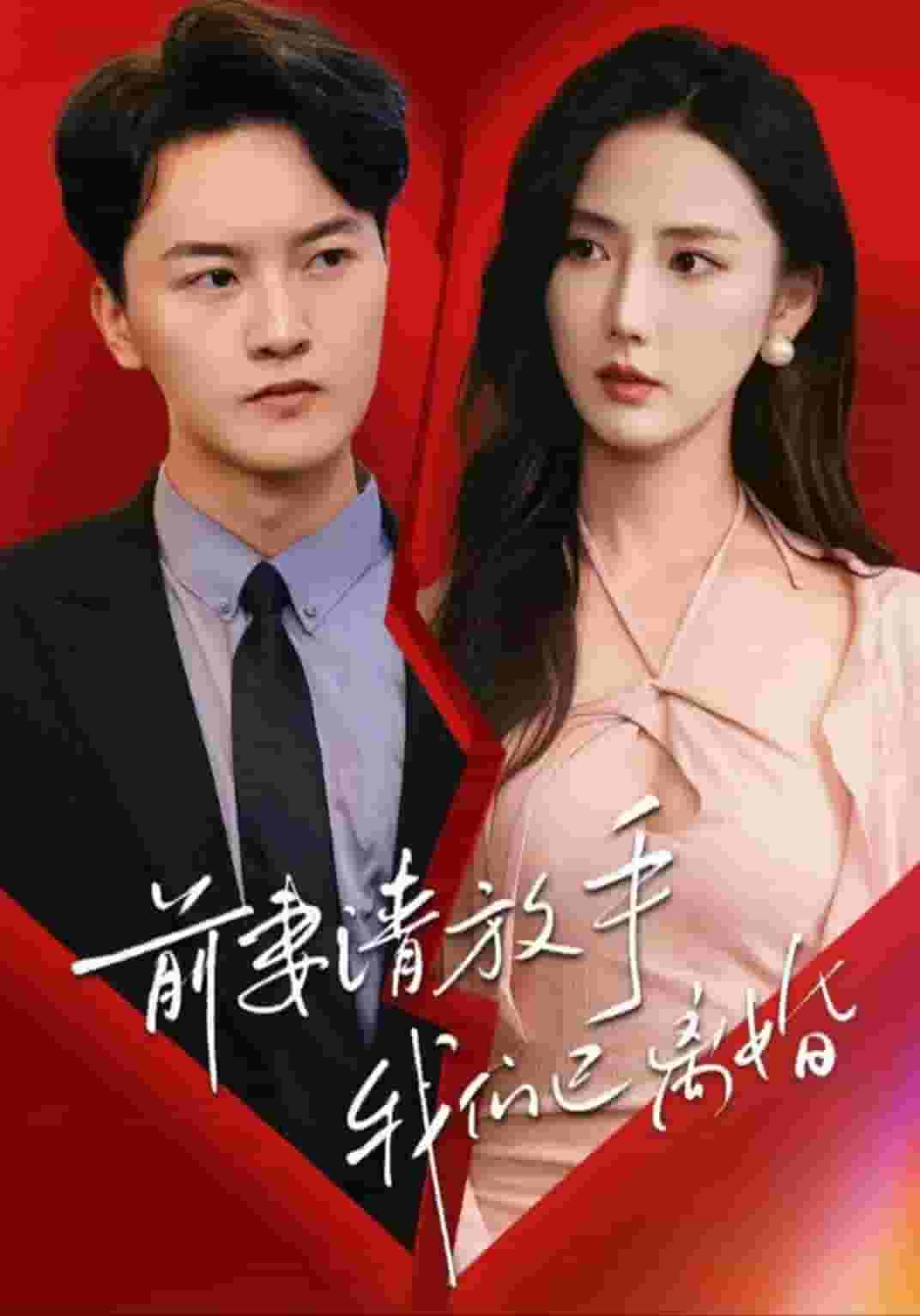 前妻請放手,我們已離婚(2024)海報