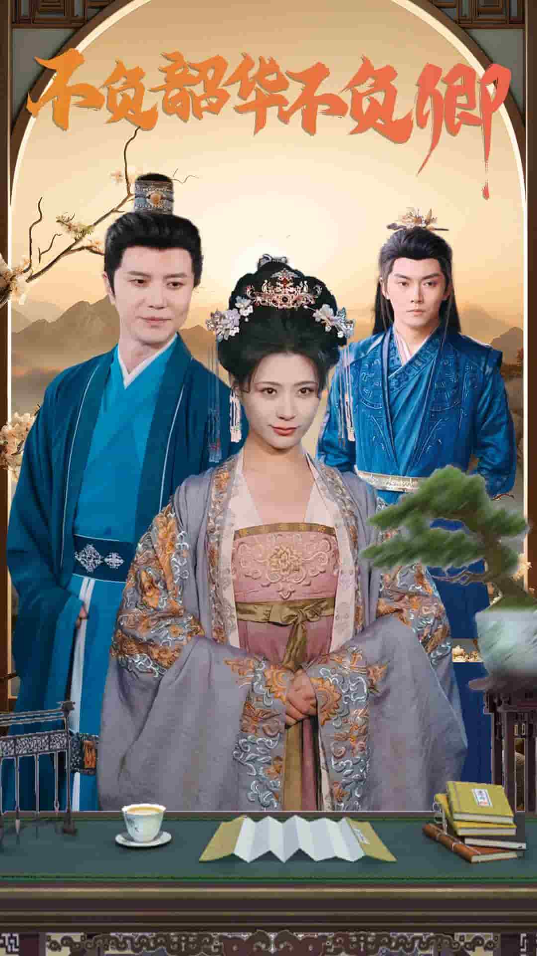 不负韶华不负卿(2025)海报