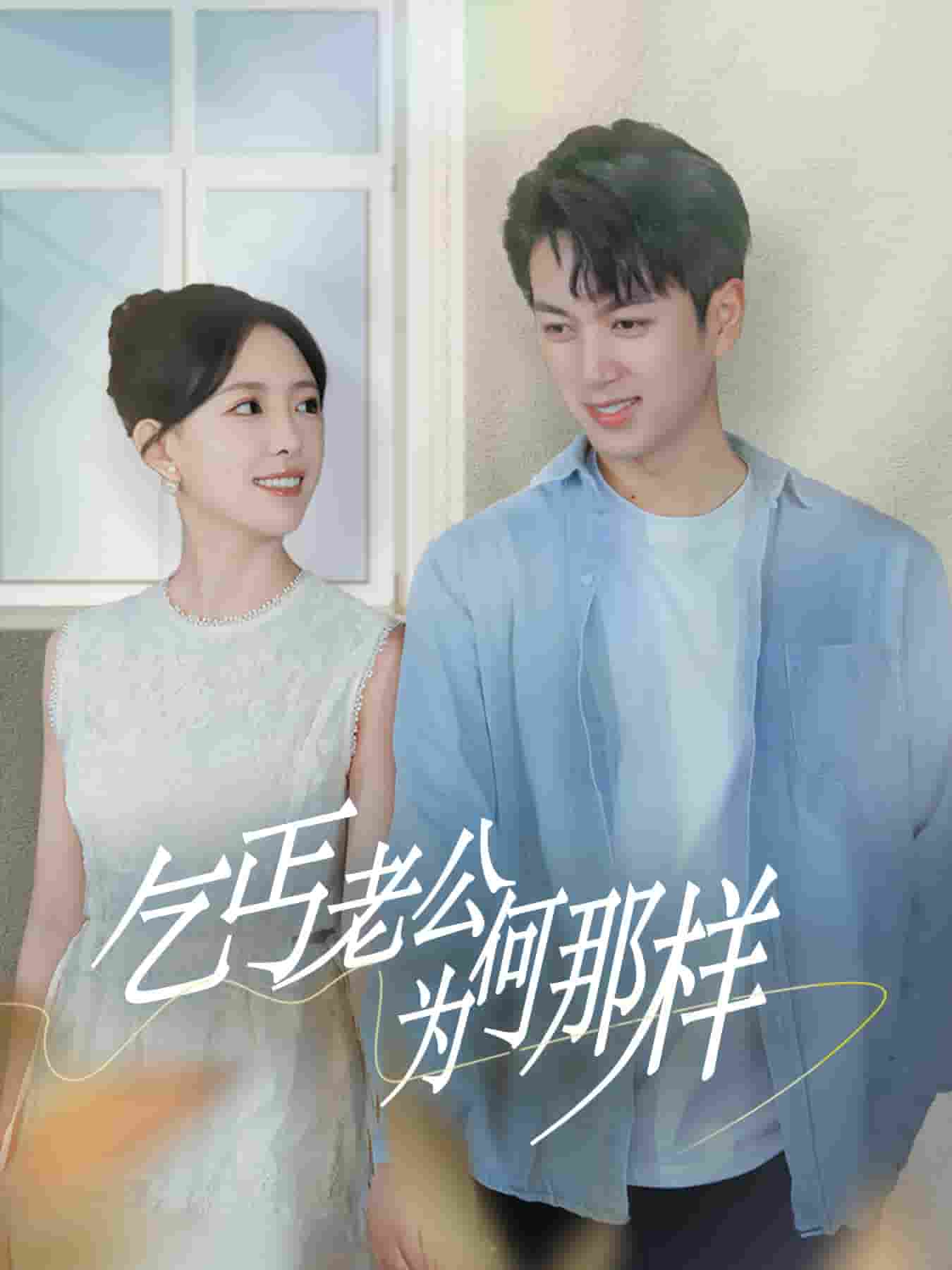 乞丐老公为何那样(2024)海报