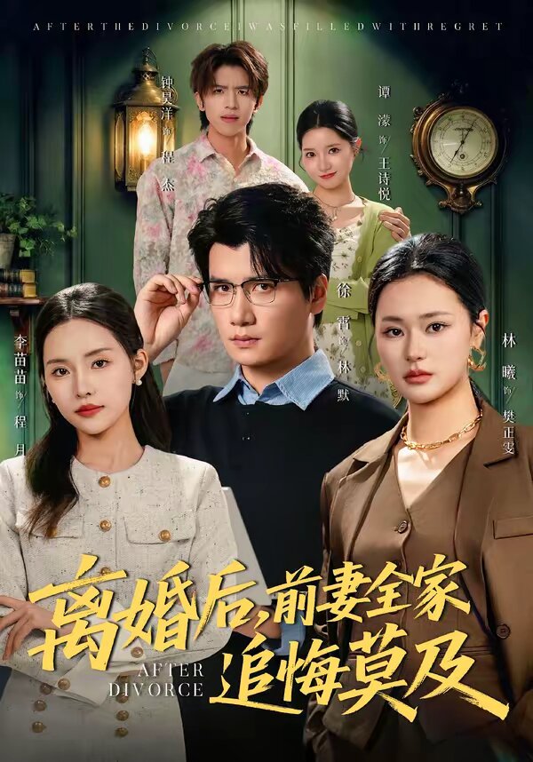 离婚后,前妻全家追悔莫及(2026)海报