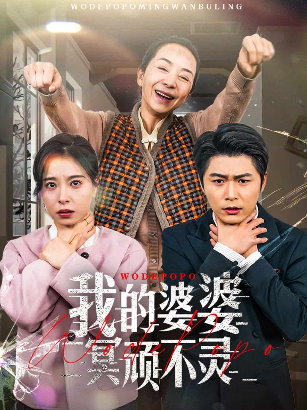 好心婆婆之事与愿违(2025)海报