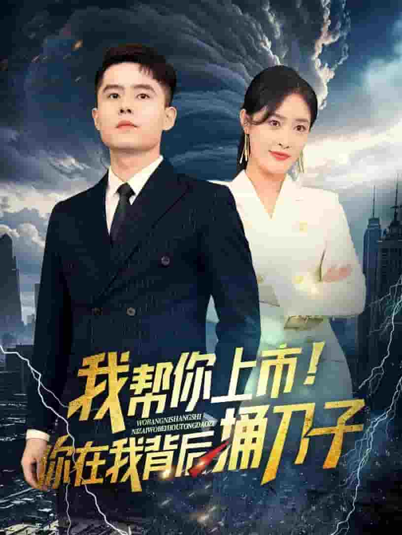 我幫你上市!你在我背後捅刀子(2024)海報