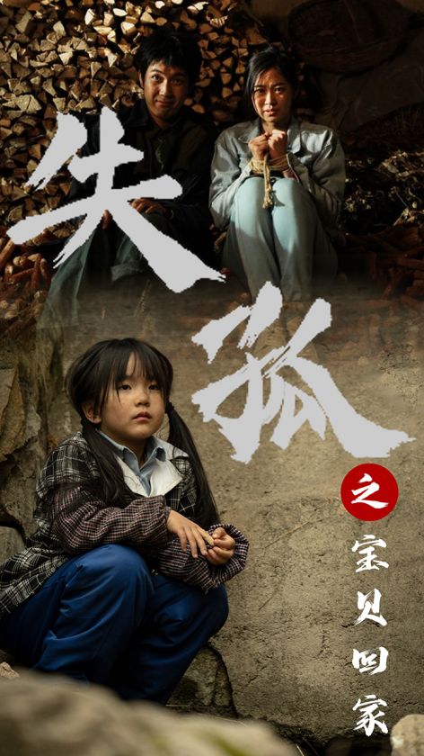 失孤之宝贝回家(2024)海报