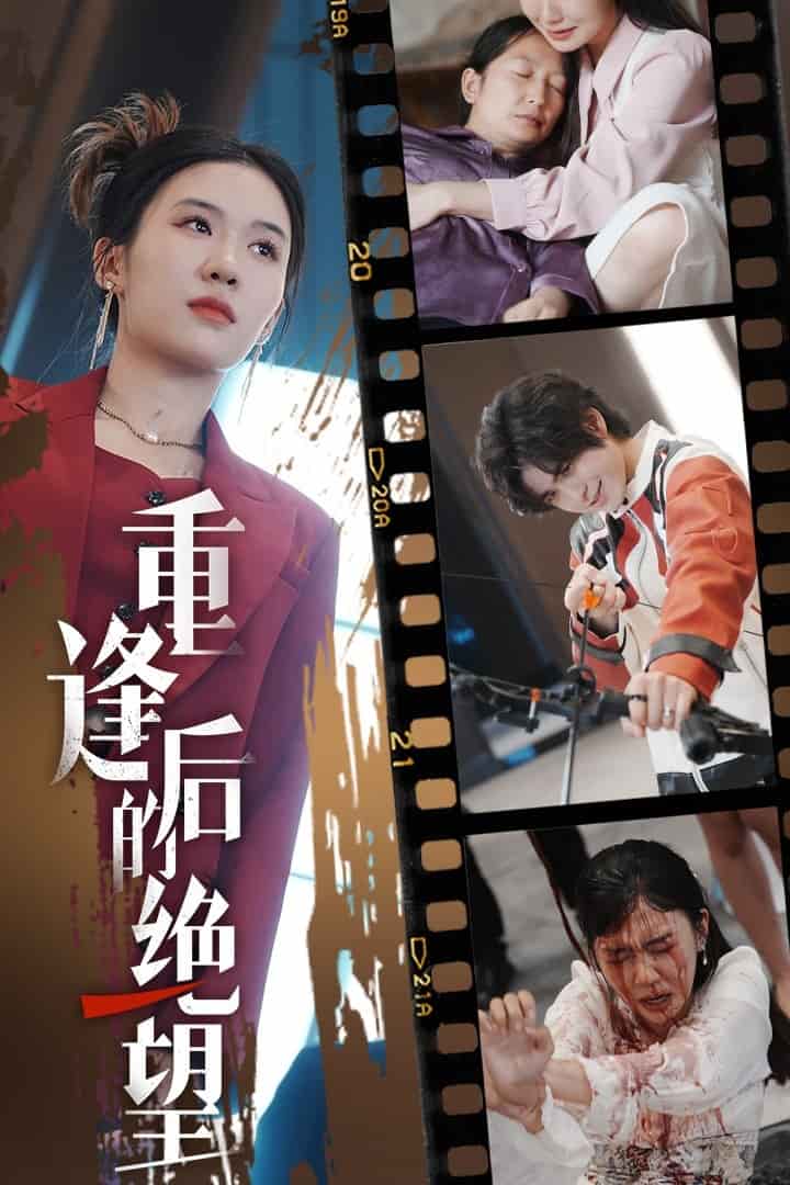 重逢后的绝望(2025)海报