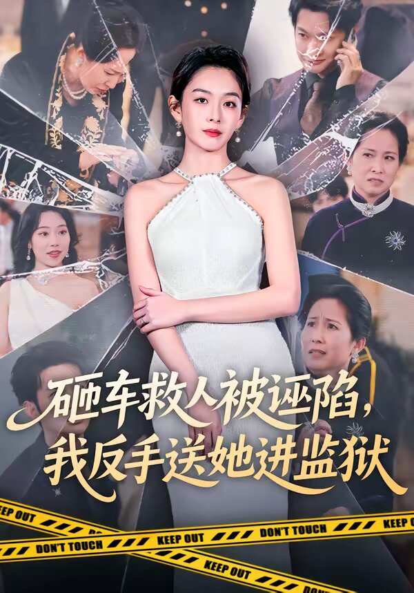 砸車救人被誣陷,我反手送她進監獄(2026)海報