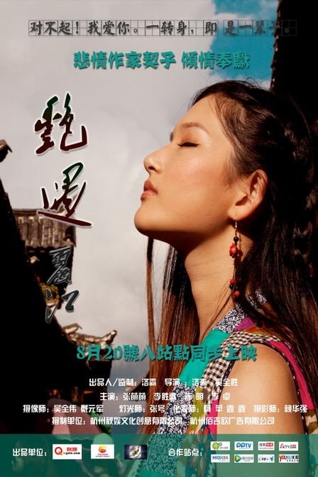 豔遇麗江(2013)海報