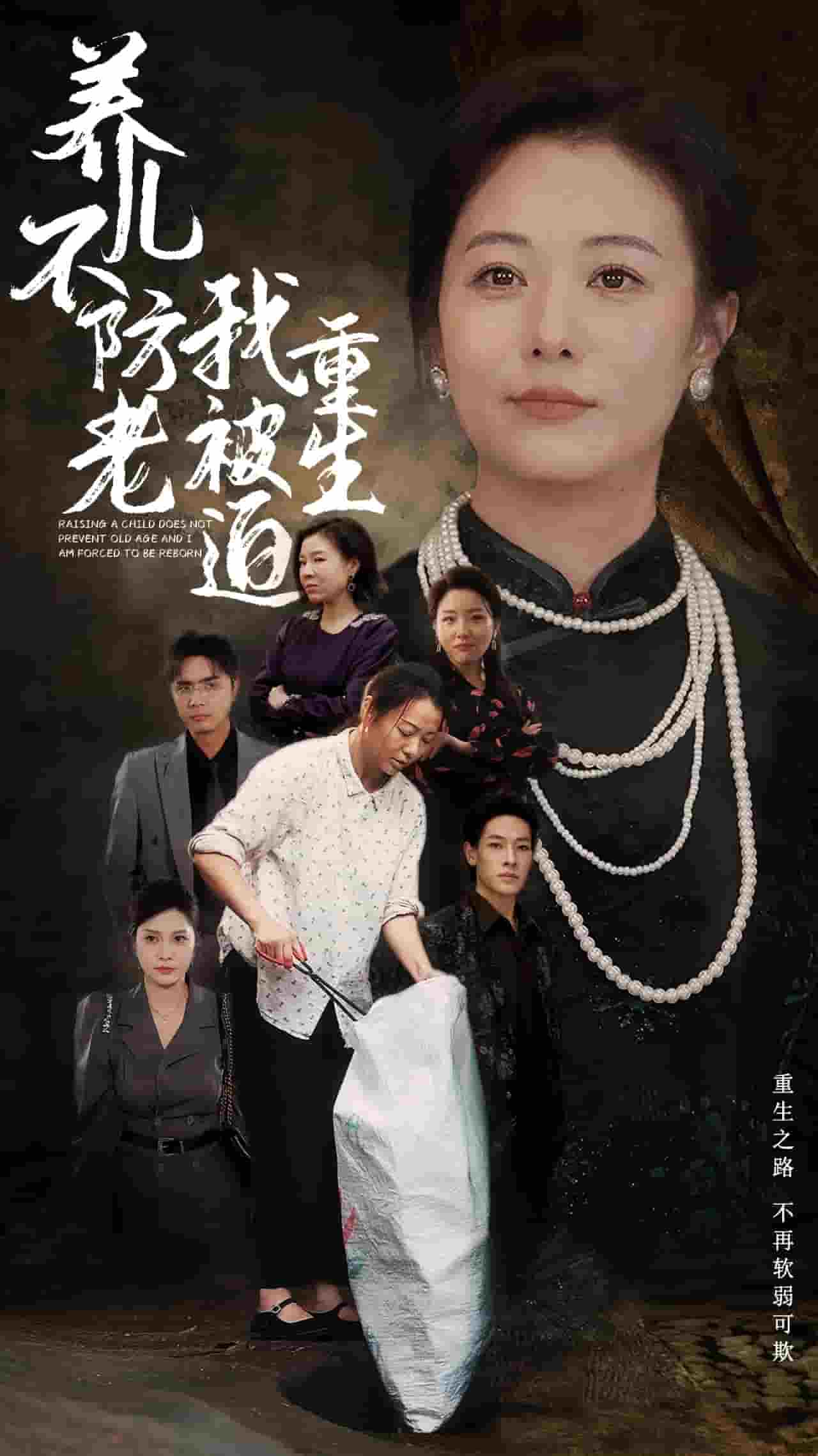 养儿不防老我被迫重生(2024)海报