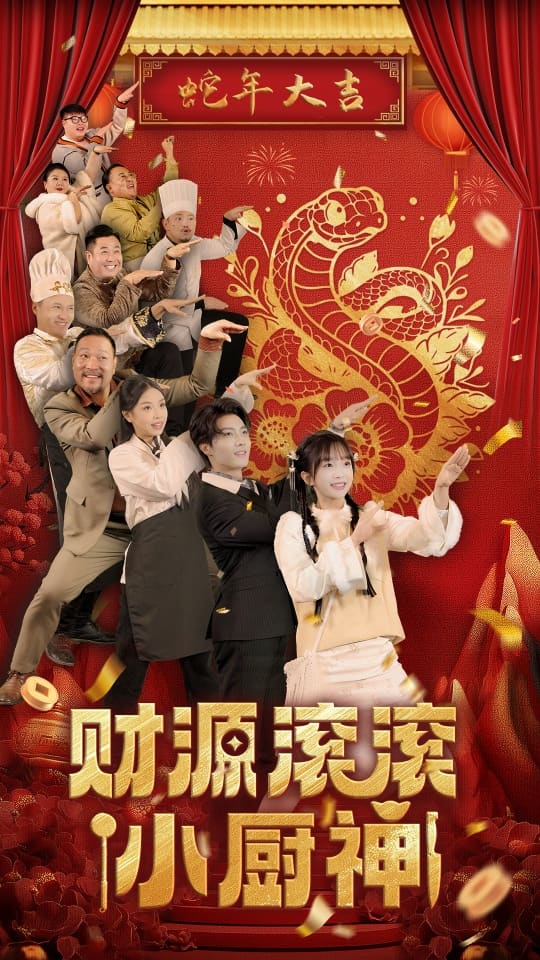 财源滚滚小厨神(2025)海报