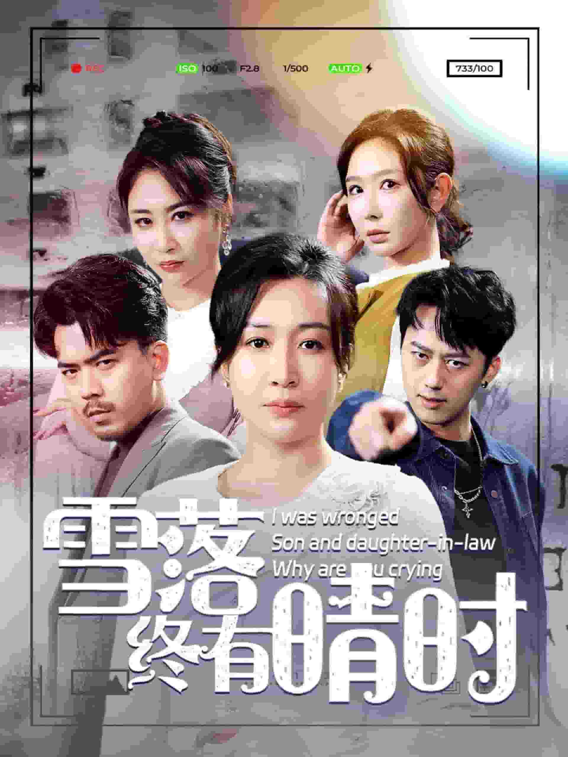 雪落终有晴时(2025)海报