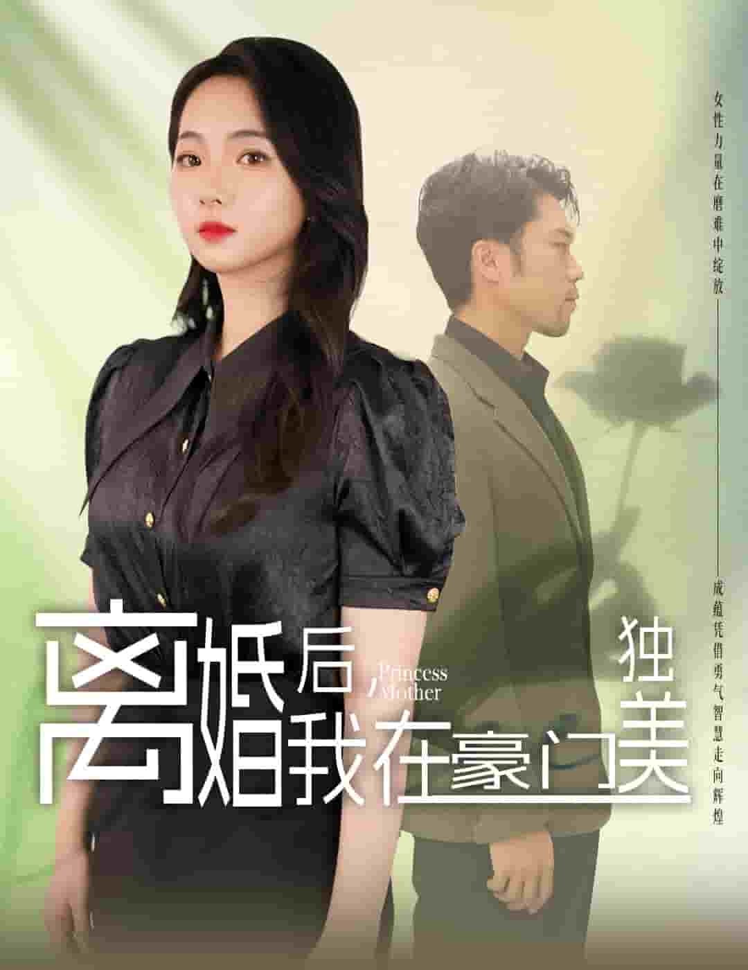 离婚后,我在豪门独美(2024)海报