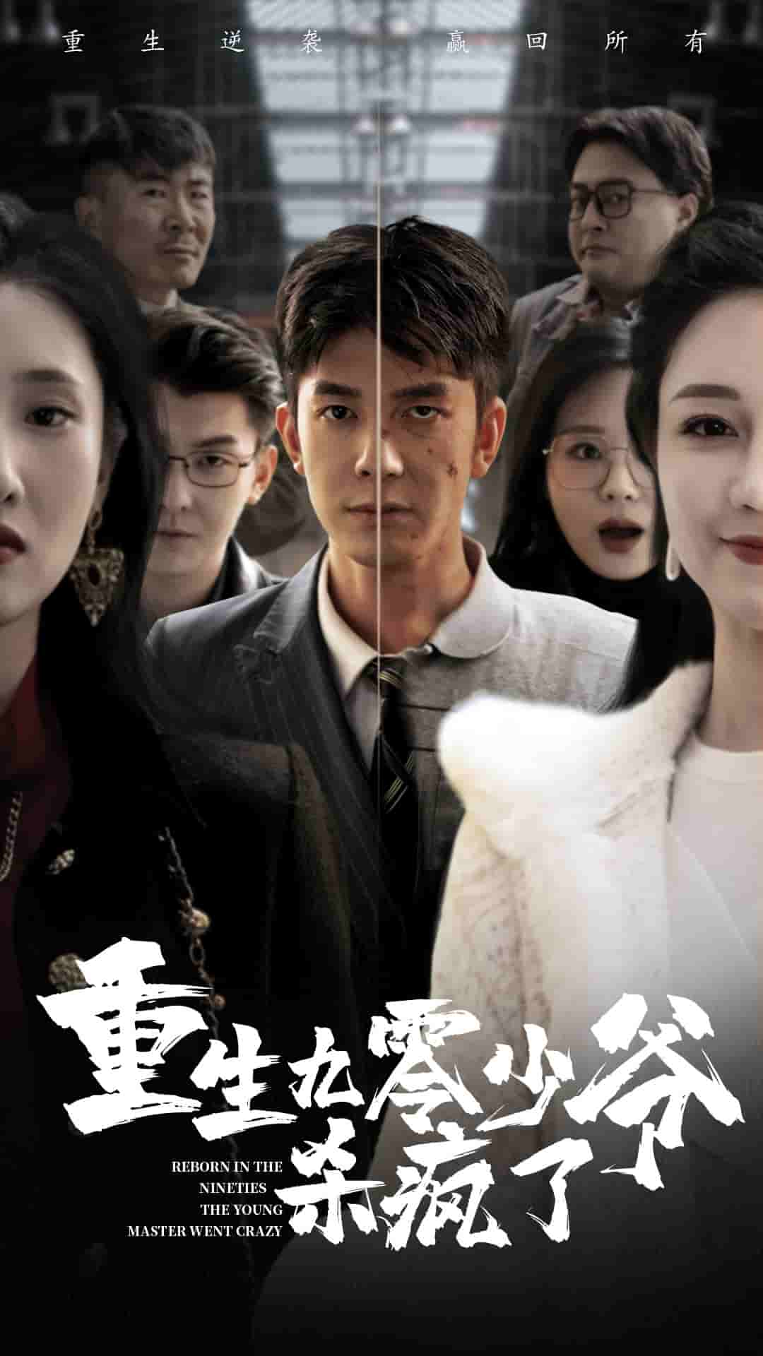 重生九零少爷杀疯了(2024)海报
