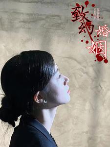 致幻婚姻(2024)海报