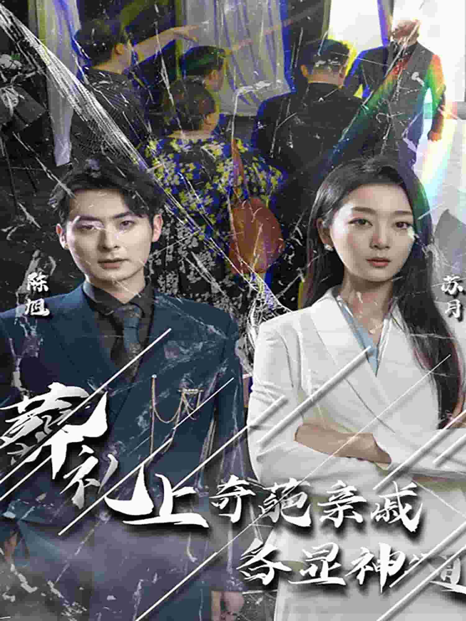葬礼上奇葩亲戚各显神通(2024)海报
