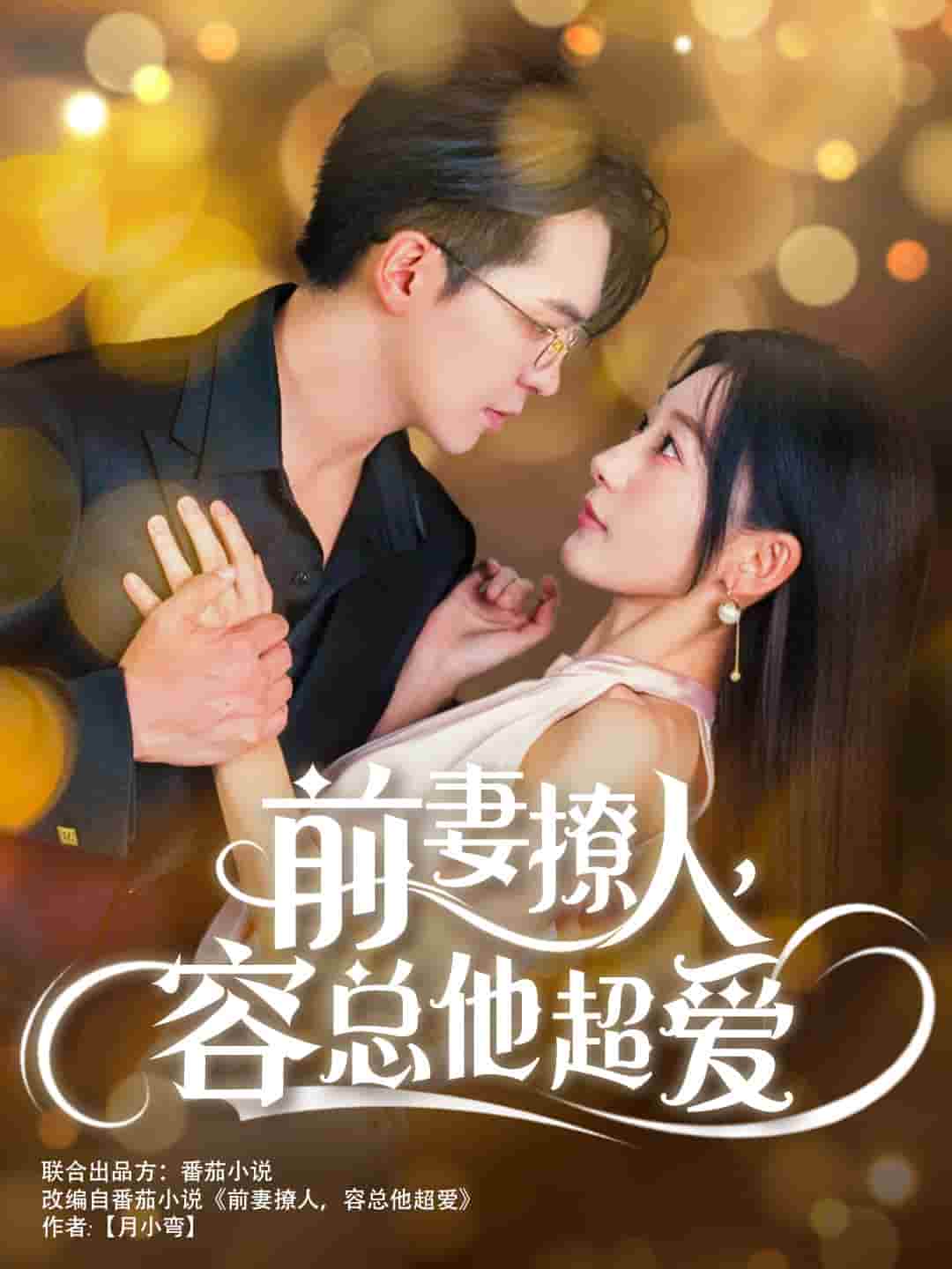 前妻撩人,容總他超愛(2024)海報