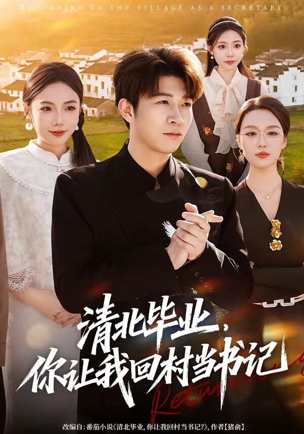 清北毕业,你让我回村当书记(2026)海报