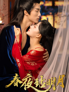 春夜玷明月(2025)海報