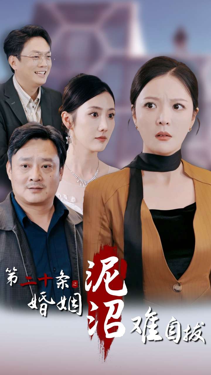 第二十条之婚姻沼泽难自拔(2024)海报