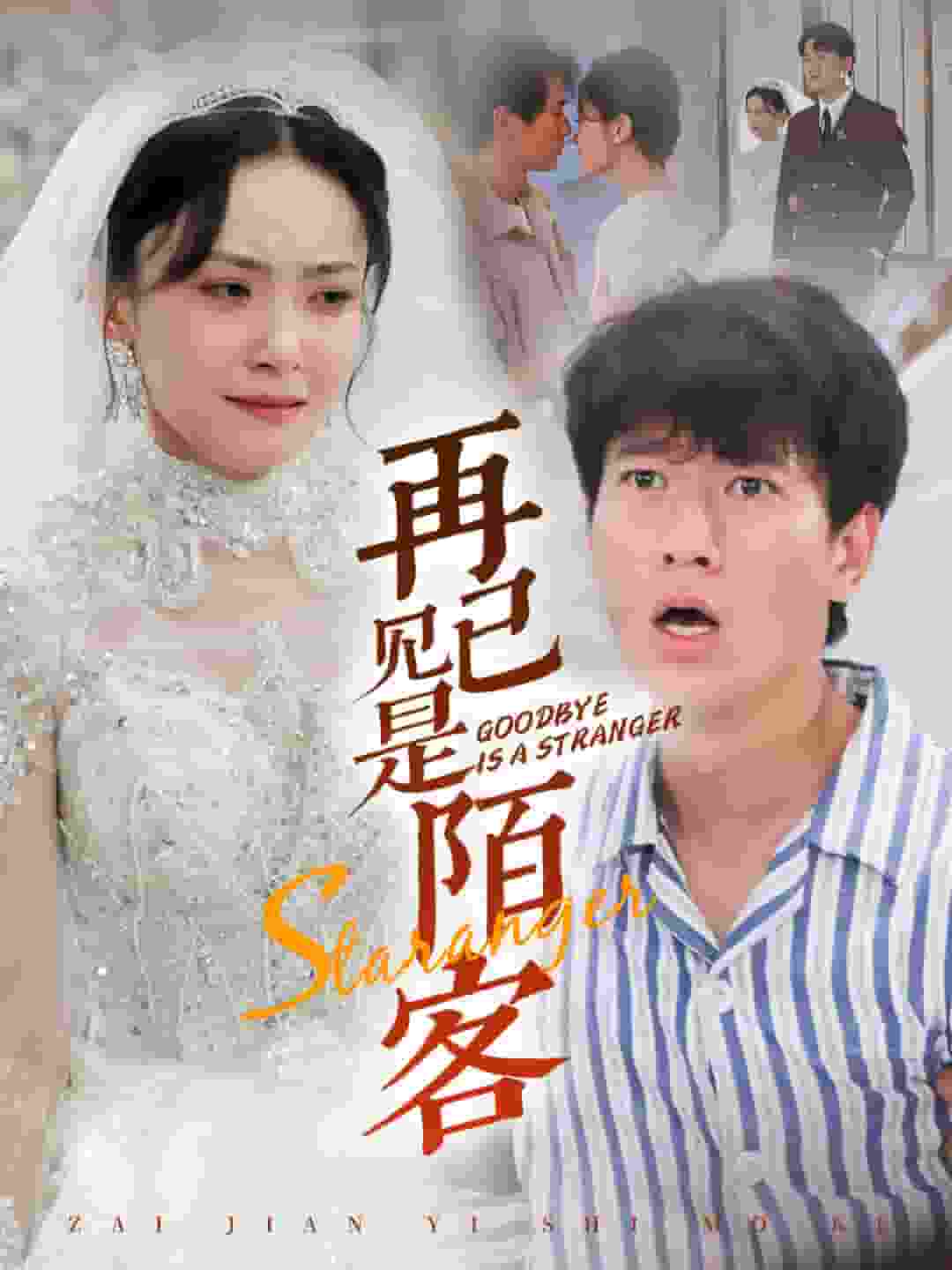 再见已是陌客(2024)海报