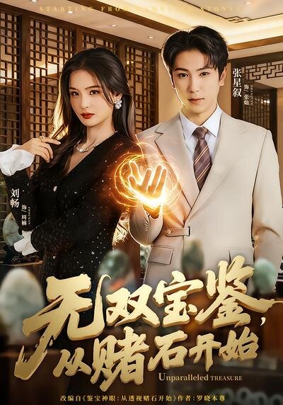 无双宝鉴,从赌石开始(2026)海报