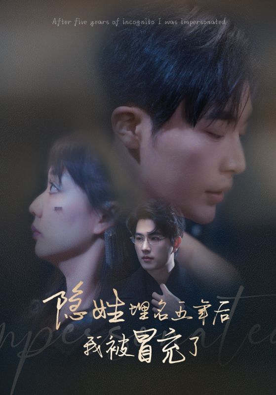 隐姓埋名五年后我被冒充了(2024)海报
