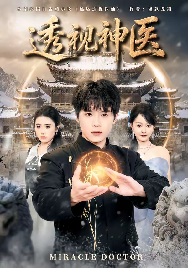 透视神医(2026)海报