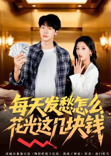 每天发愁怎么花光这几块钱(2026)海报