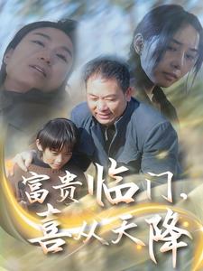 富貴臨門,喜從天降(2025)海報