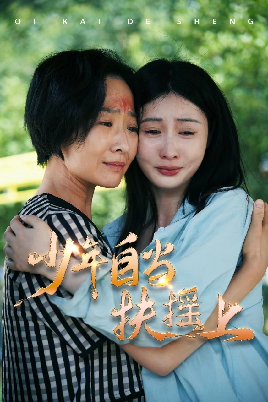 少年自当扶摇上(2024)海报