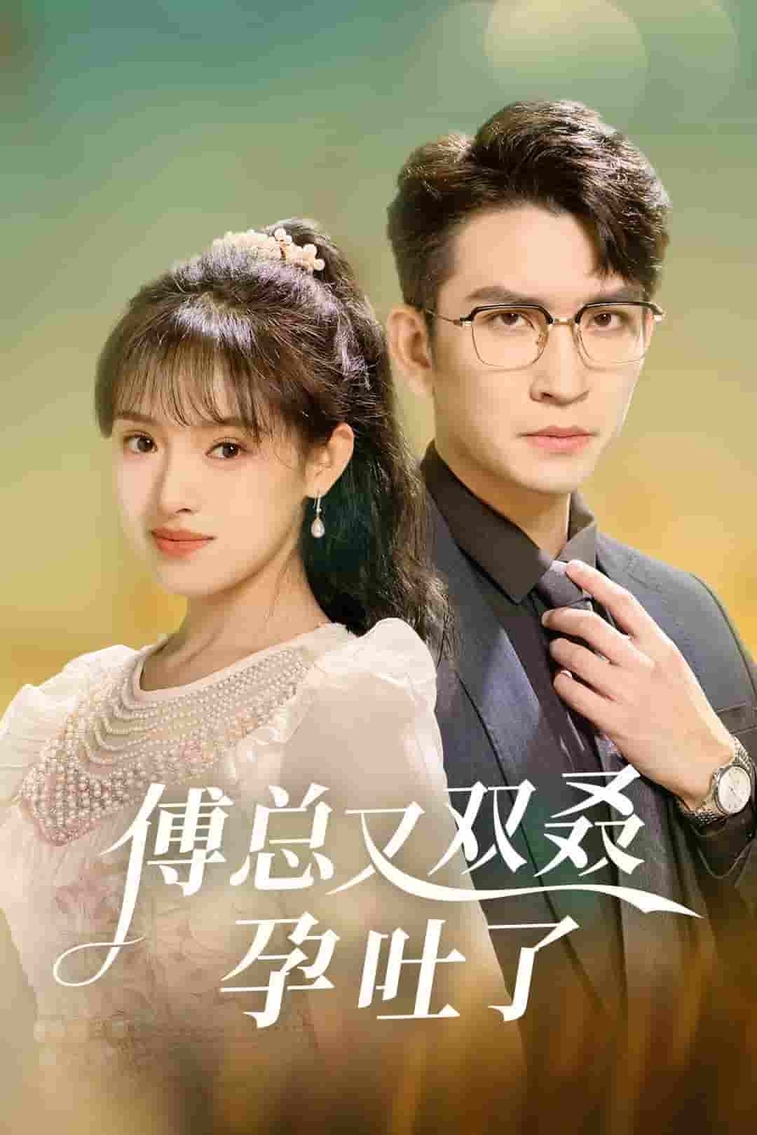 傅總又雙叒孕吐了(2024)海報