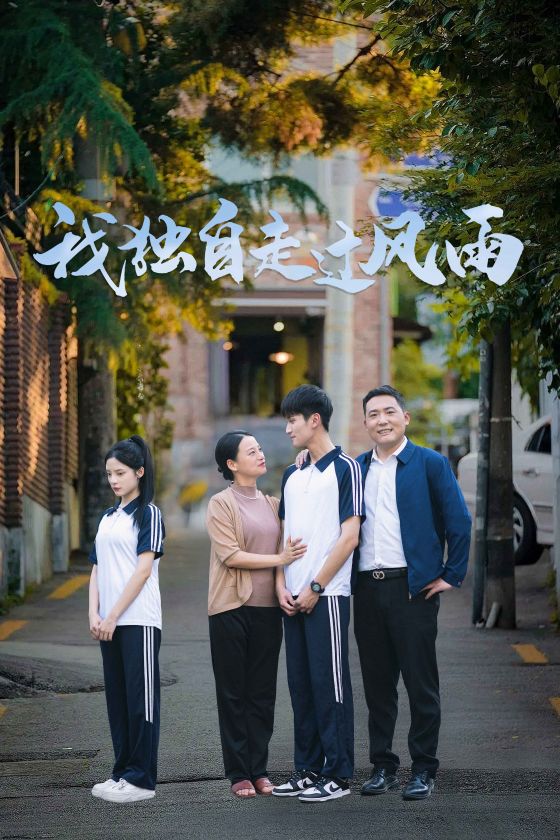我独自走过风雨(2024)海报