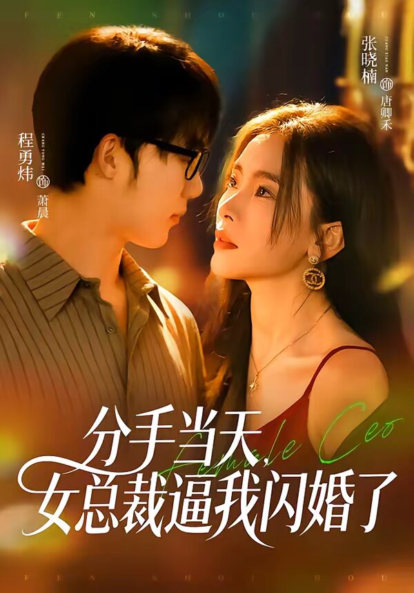 分手當天,女總裁逼我閃婚了(2026)海報