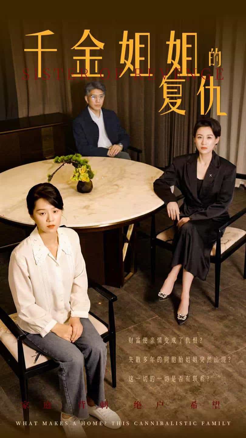 千金姐姐的复仇(2024)海报