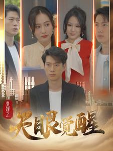 赘婿之天眼觉醒(2024)海报