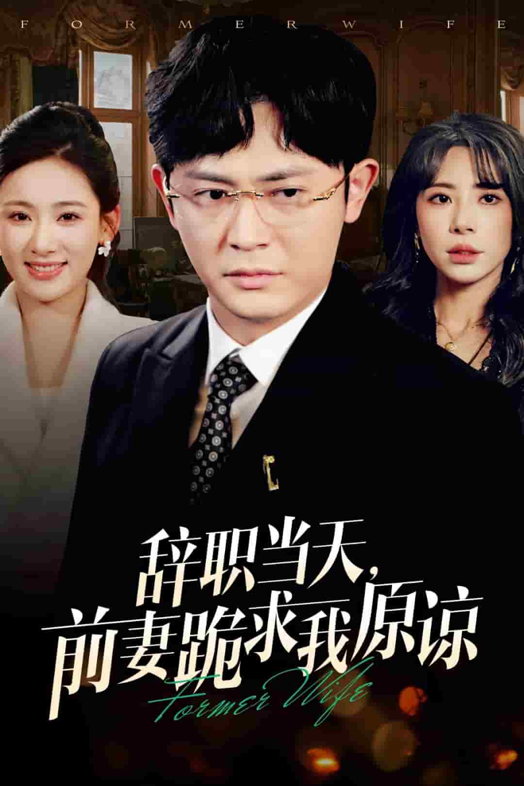 辞职当天前妻哭着求我原谅(2025)海报