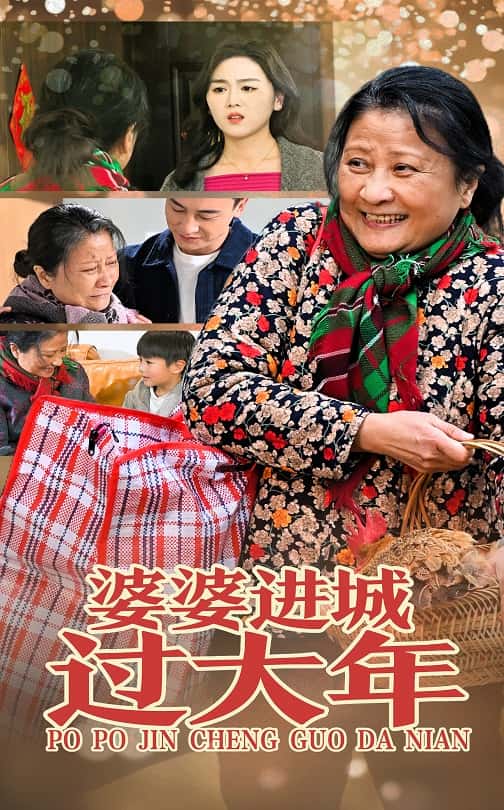 婆婆進城過大年(2025)海報