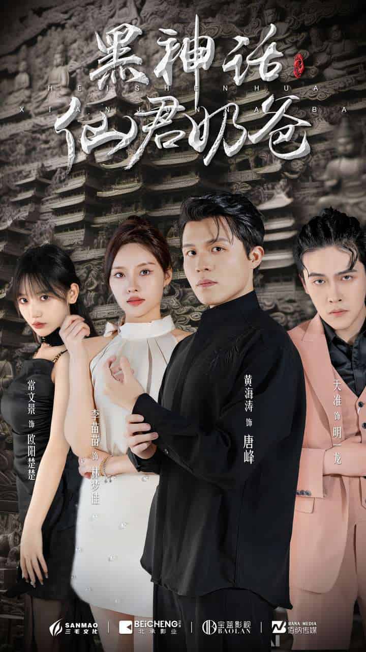 黑神話仙君奶爸(2024)海報