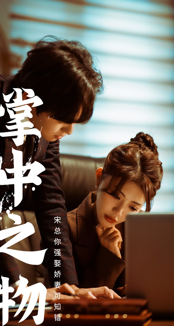 掌中之物:宋总娶娇妻可知错(2024)海报
