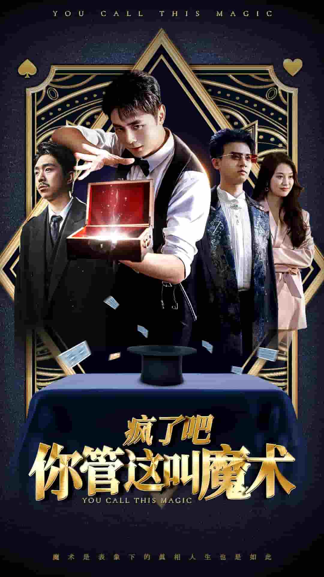 疯了吧你管这叫魔术(2024)海报