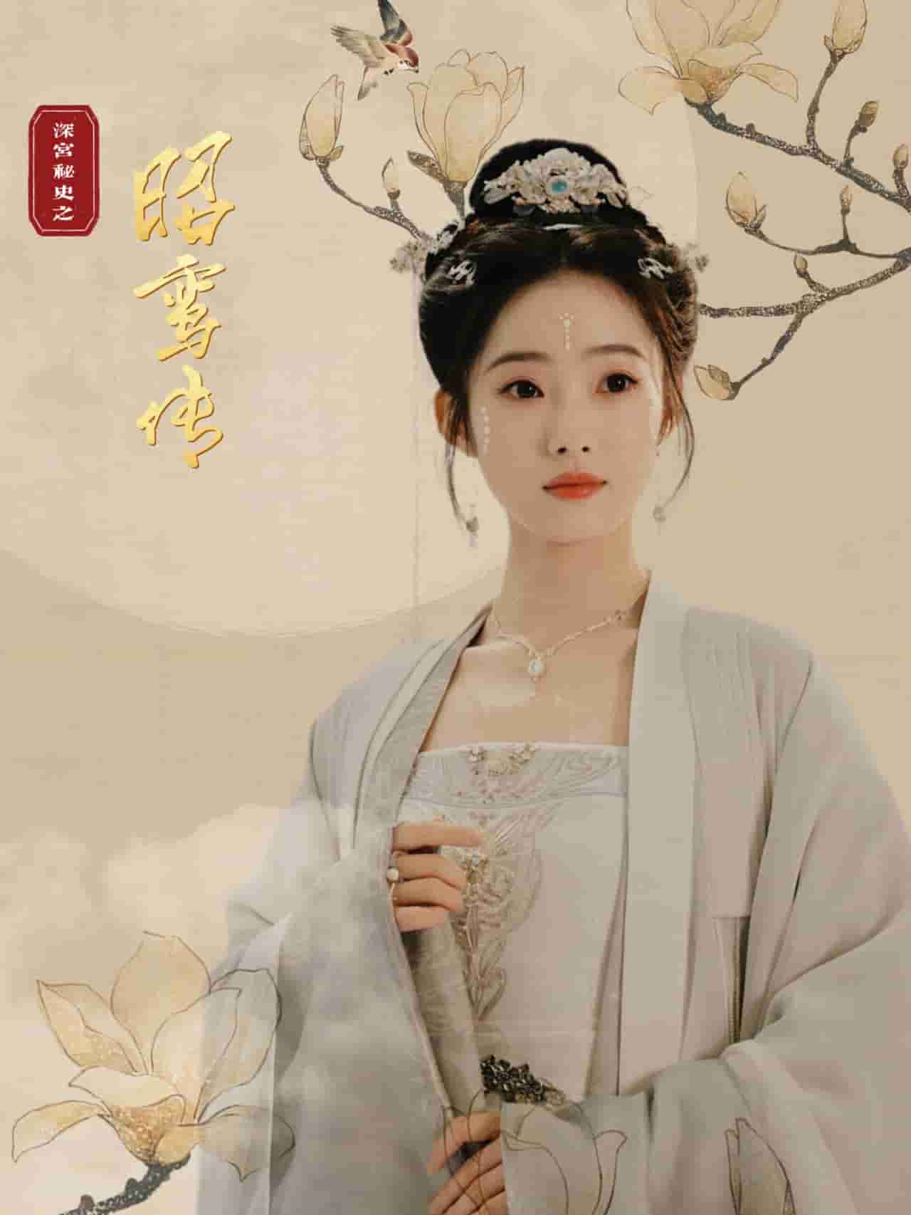 昭鸾传(2024)海报