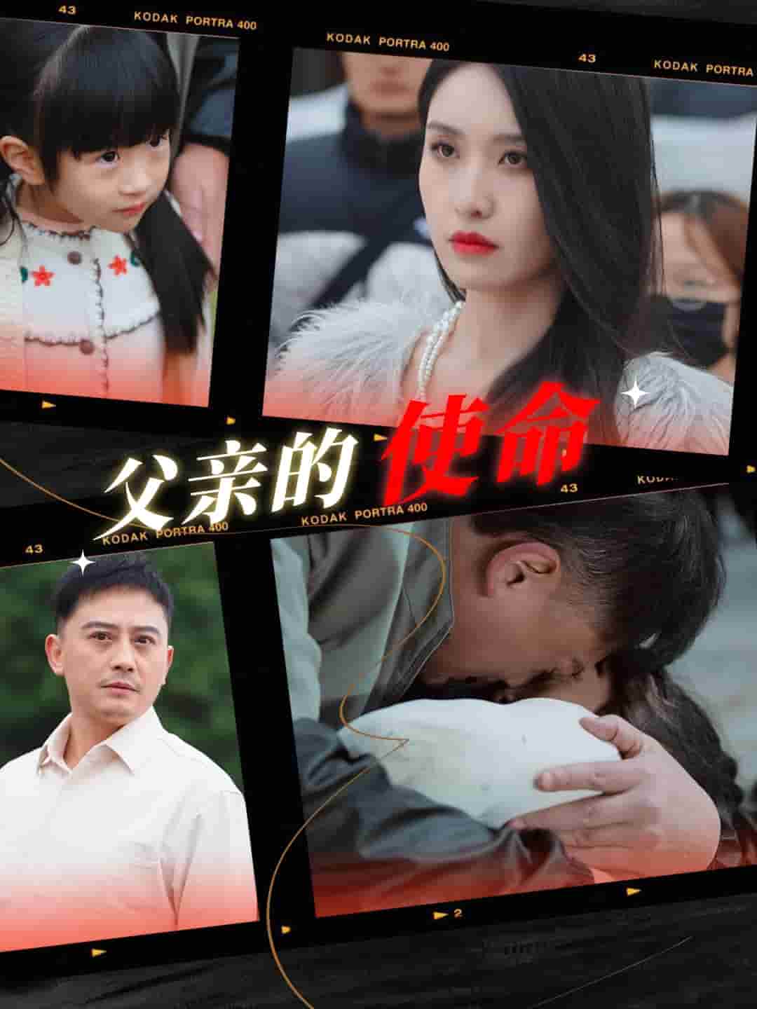 父亲的使命(2025)海报