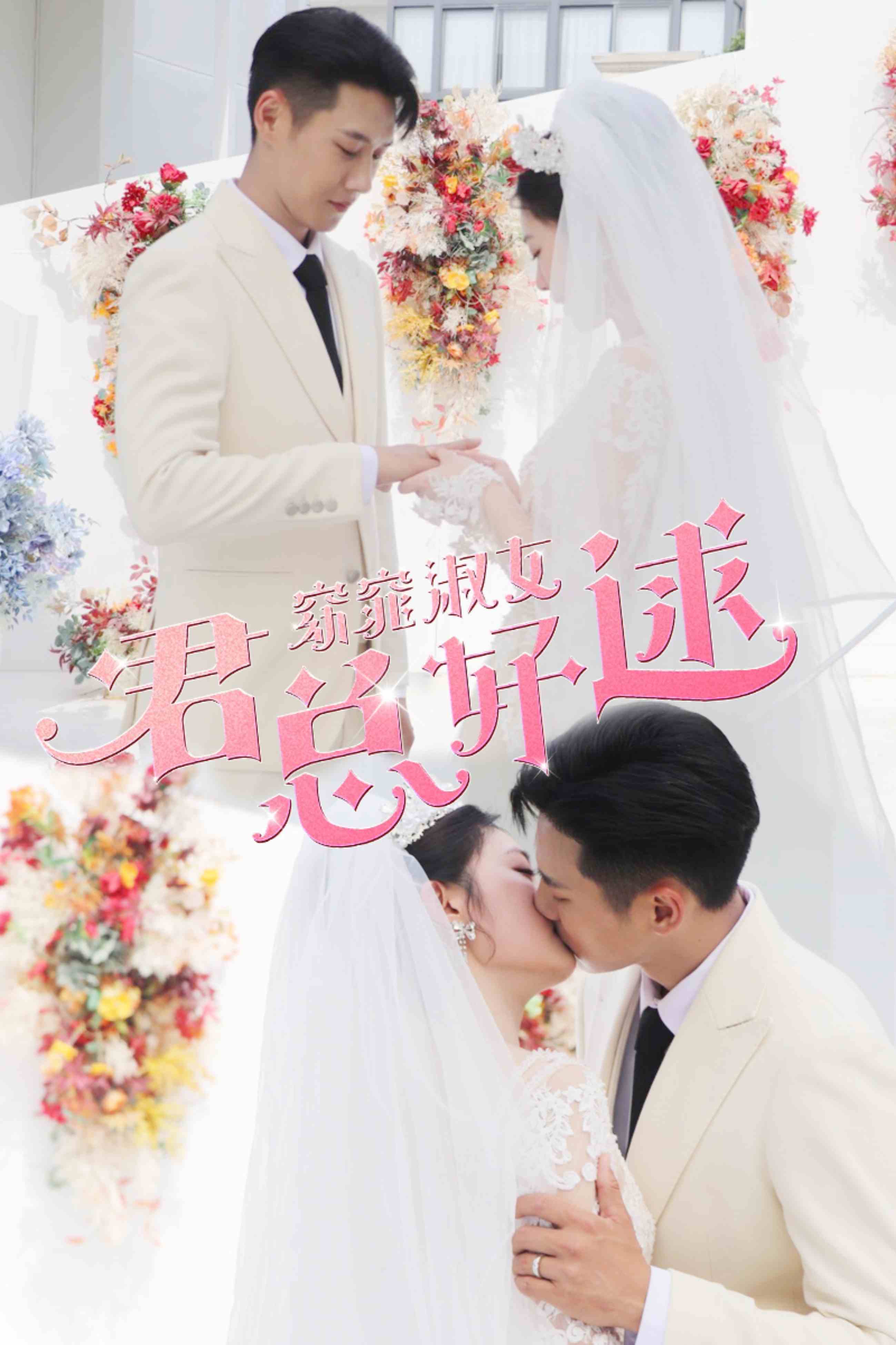 窈窕淑女君總好逑(2024)海報