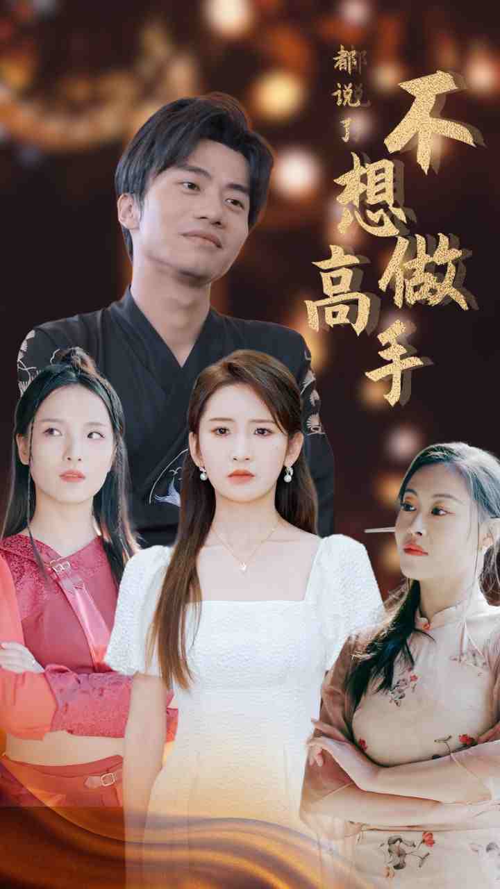 都说了不想做高手(2024)海报