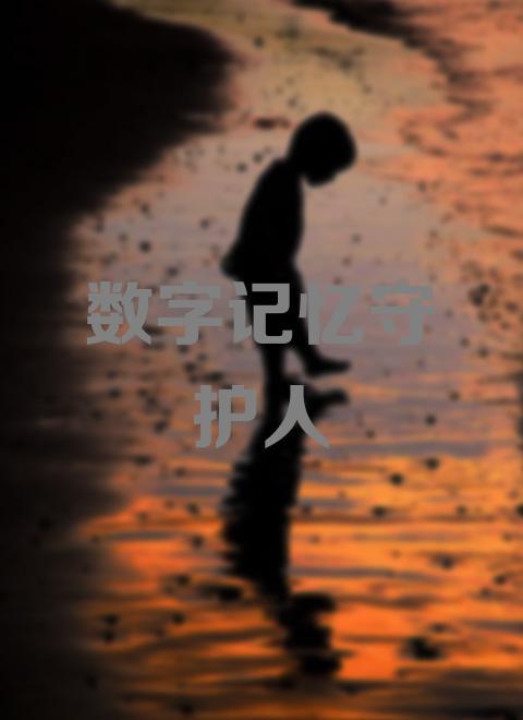 数字记忆守护人(2013)海报