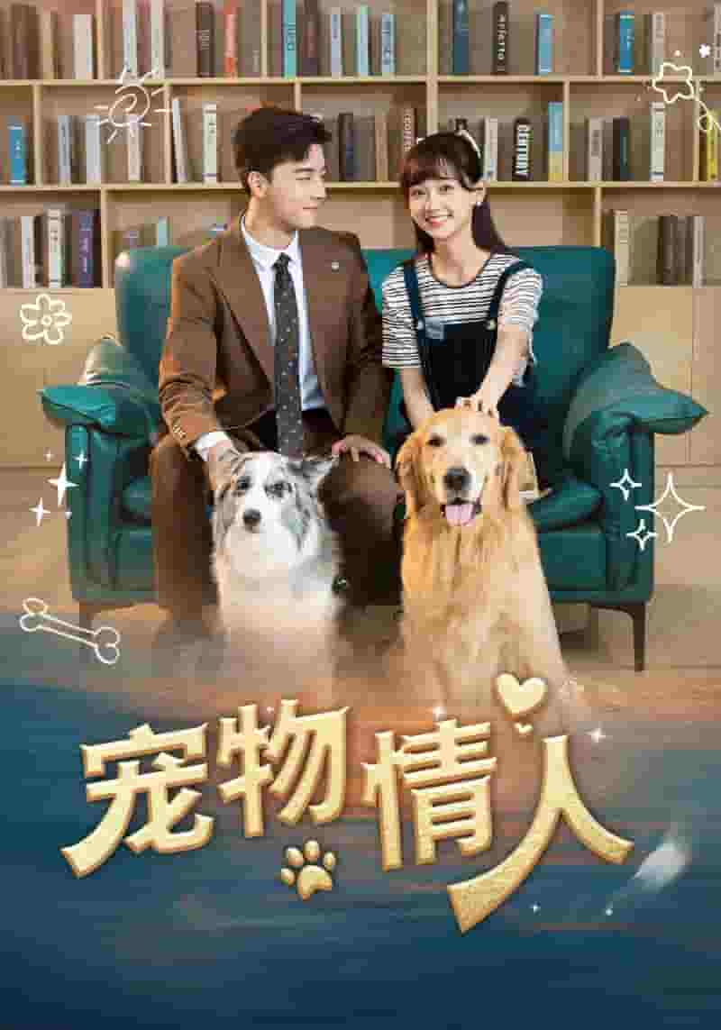 宠物情人 短剧版(2024)海报