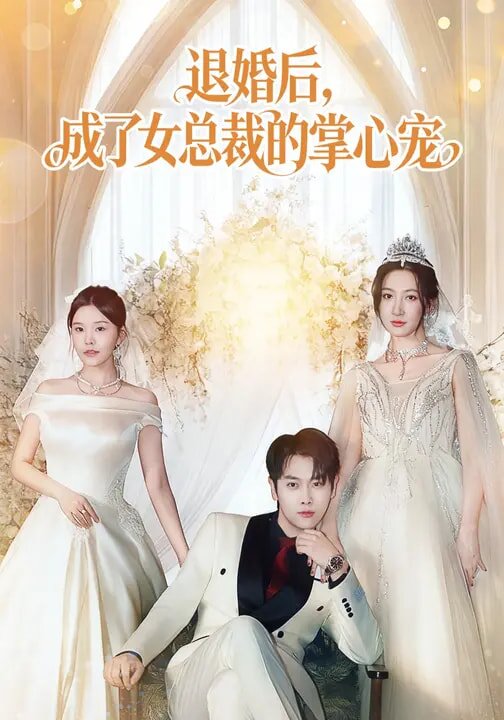 退婚后,成了女总裁的掌心宠(2026)海报